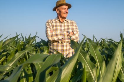 Actualité : À 86 ans, un agriculteur refuse le chèque de 14 millions d'euros qu'on lui propose en échange de ses terres pour y bâtir un centre de données IA